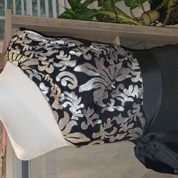 Betsy & Adam evening gown - Picture 2 of 12